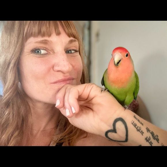 Meet your Posher, Catherine - Picture 2 of 4